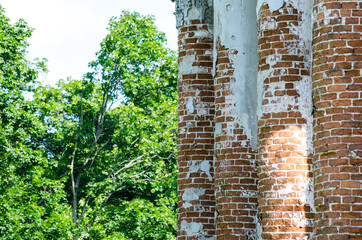 Columns of an old building in the forest