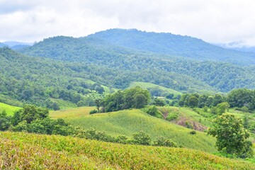 Fototapeta na wymiar Beautiful Mountain Landscape in Nan, Thailand