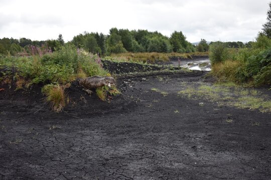 Dull Filed in Ireland