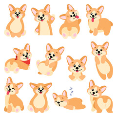 Big set of welsh corgi in cartoon and hand drawn style. Collection of dog characters, flat illustration for design, decor, print, stickers, posters. Vector illustration isolated on a white background.