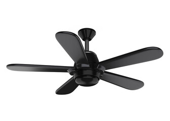 Ceiling Fan Isolated