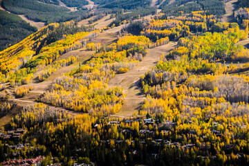 Obraz premium Vail Mountain during autumn. 