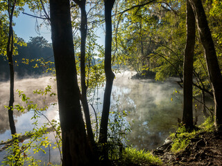 Fototapeta na wymiar Early Morning at Ginnie Springs on the Santa Fe River, Florida
