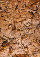 Mud pool in Tongariro National Park
