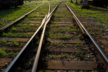 Obraz premium railway tracks in the countryside