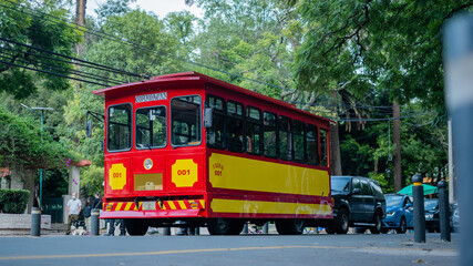 Low Angle View of a Red and Yellow Trolley Car Surrounded by Trees