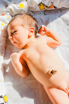 Naked Newborn Baby Lying Down