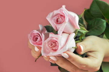 Hands of a young, well-groomed woman. Nail care. Manicure, pedicure in a beauty salon. Pink background.