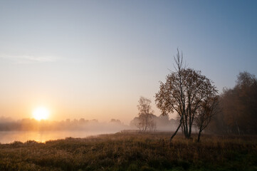 Fototapeta na wymiar Landscape with a view of dawn, fog, lake