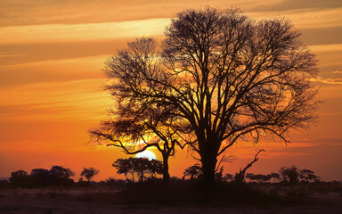 African sunset Kenya