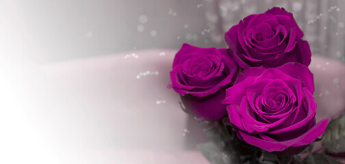 beautiful flowers made with color filters, bokeh