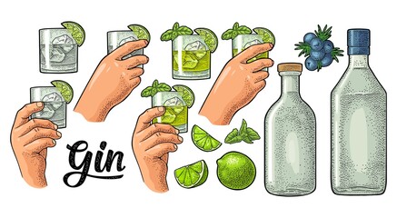 Glass, bottle gin and branch juniper. Vintage vector color engraving - obrazy, fototapety, plakaty