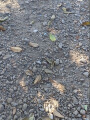 Ground with gravel and dry leaves, top view shot