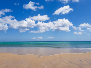 Fototapeta na wymiar Fuerteventura playa