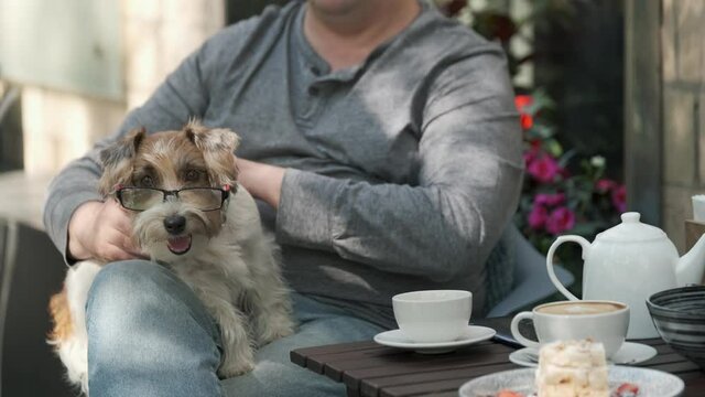 Man stroking a small dog lying in his lap