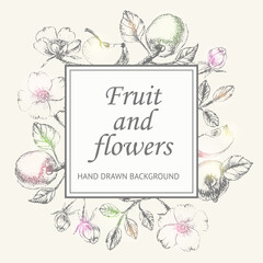 Fruit and flower sketched square frame