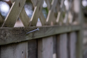 Iron Nail in a Cedar Fence