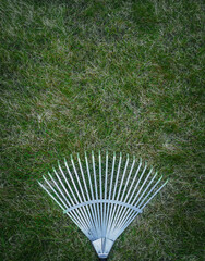 rake for cleaning the lawn lie on the green grass top view,