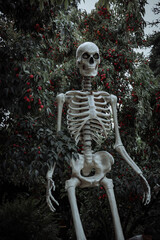Spooky giant skeleton decoration during Halloween celebration