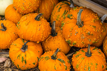 Farm fresh produce on a stand