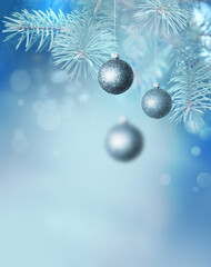 Fototapeta na wymiar Fir Blue Pine Branch and Christmas ball - Christmas Holidays Background