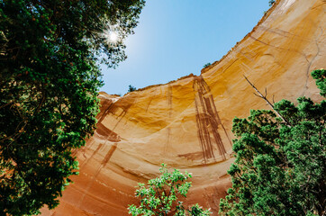 A stunning view looking up at a canyon wall with a sunburst in the trees - 382444999