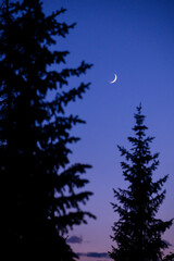 A calm evening scene in the mountains with a crescent moon against a blue and purple sky - 382445133