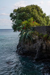 Natural Landscape of São Miguel Island - Azores