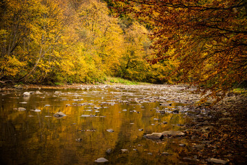 Bieszczady National Park. Solitude by the river. A great place for weekend excursion in the Carpathian Mountains in autumn. A perfect spot for fly fishing.