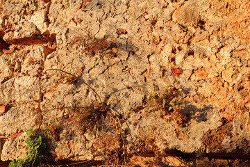 background of stones walls of an ancient city with a dried plant