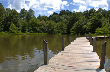 Wooden fishing pier next to green forest lined lake.