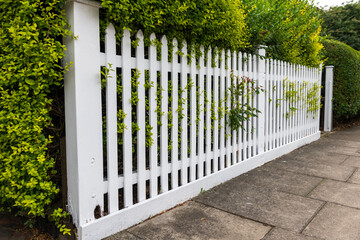 white fence and green grass