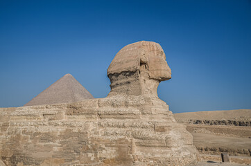 Fototapeta na wymiar Egyptian Sphinx. Ancient Egyptian Ruins and Pyramids. The sandy desert in Cairo.