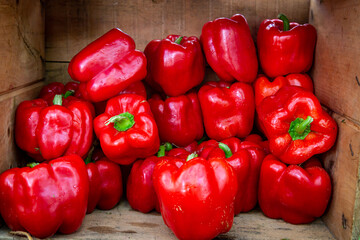 An Abundance of Red Peppers