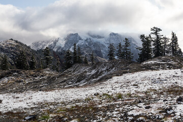 Fototapeta premium Winter landscape with forest and snow clouded mountains. Location place is North Cascades National park, Washington, USA