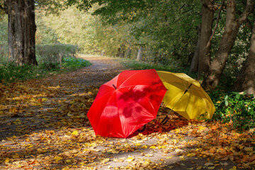 Autumn landscape with red and yellow umbrella
