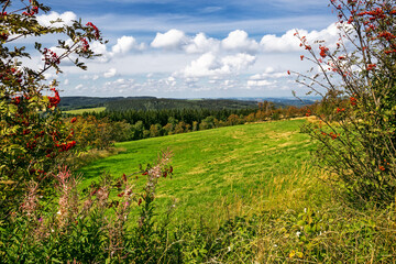 Landscape of Altenberg with the traditional rowan trees (the symbol of the region) in the Osterzgebirge district, in the Free State of Saxony, Germany in the Ore Mountains
