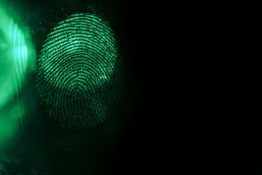 Close up beautiful abstract green colored fingerprint on  background texture for design. Macro photography view.