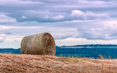 Bale of Hay in Annapolis Valley - Late day in August a bale of hale lays on a hill in an agricultural field in the Annapolis Valley area of  Nova Scotia, Canada.