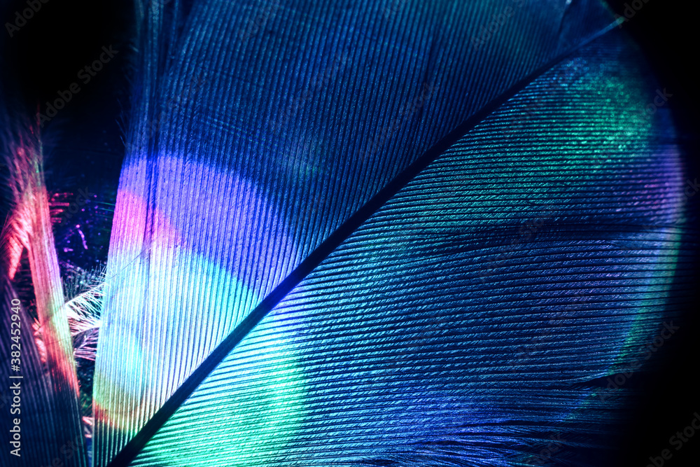 Aufkleber Close up Bird feather colorful light. Beautiful background pattern texture for design. Macro photography view.