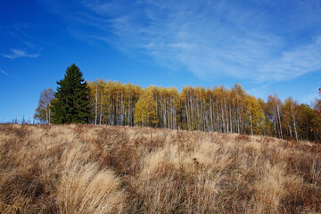 Colorful mountain landscape. Autumn in the mountains.