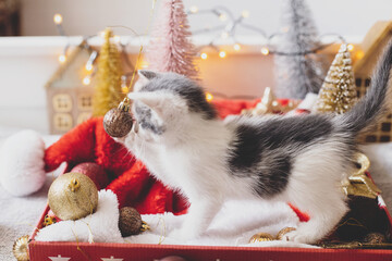 Adorable kitten playing with christmas bauble at festive decor, tree and ornaments in warm lights