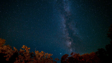 View of the center of the Milky Way On Top Of trees on dark night