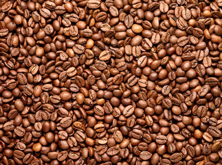 coffee bean brown roasted caffeine espresso seed