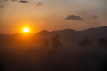 Naklejka na ściany i meble Wild horses run in foggy at sunset. Wild horses are running in dust. Near Hormetci Village, between Cappadocia and Kayseri, Turkey
