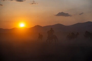 Obraz na płótnie Canvas Wild horses run in foggy at sunset. Wild horses are running in dust. Near Hormetci Village, between Cappadocia and Kayseri, Turkey