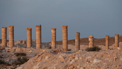 Landscape view of the ruins of the temple in the historical city Avdat in Negev desert, Israel - obrazy, fototapety, plakaty