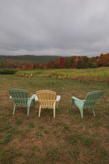 Relaxing views of corn maze and foliage during autumn in Maine.