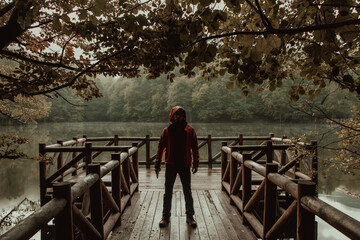 The Man Standing on Wooden Pier in Forest