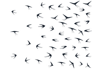 Flying martlet birds silhouettes vector illustration. Migratory martlets bevy isolated on white. 